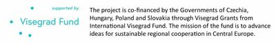 Logo Visegrad Fund