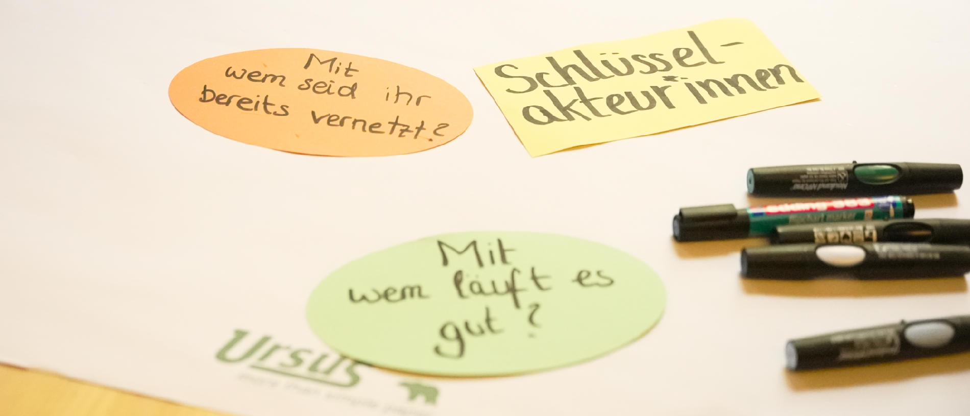 Moderationskarten zum Thema Vernetzung